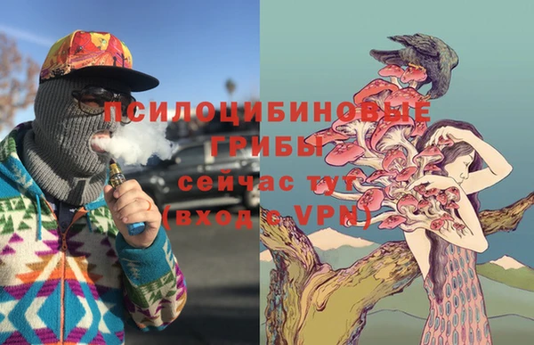 прущая мука Заводоуковск