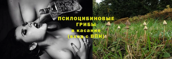 прущая мука Заводоуковск