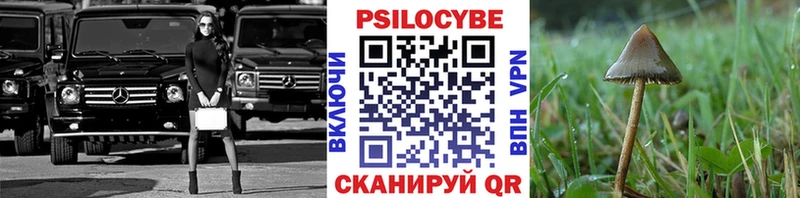 Псилоцибиновые грибы мухоморы  Купить закладки  Игарка 